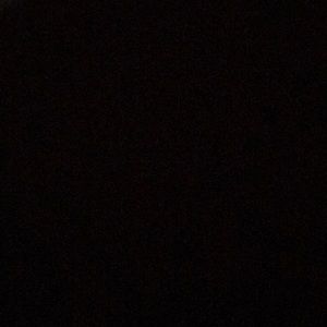 Meet your Posher, Daniela